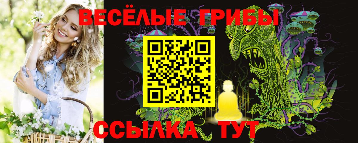 как найти закладки  Псилоцибиновые грибы мухоморы  Псилоцибиновые грибы ЛСД  Вход с VPN  Алапаевск 